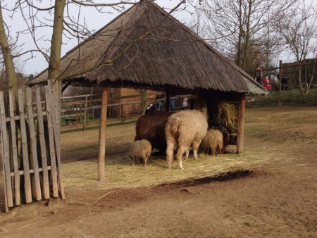 zoopark-zajezd-mala-rodinna-zoo-nedaleko-kladna